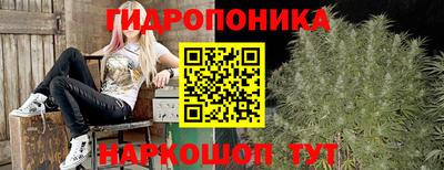 молекула духа Ленинск-Кузнецкий