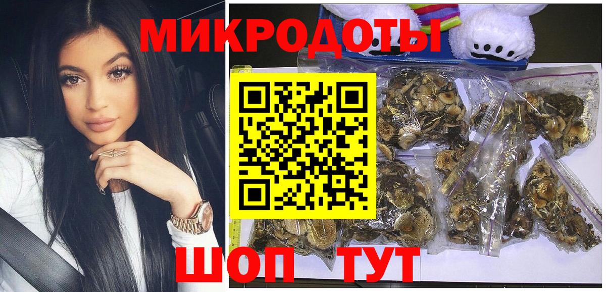 Галлюциногенные грибы мухоморы Воркута