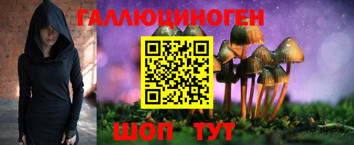 Псилоцибиновые грибы Cubensis  Галлюциногенные грибы мицелий  Воркута  Вход с VPN 